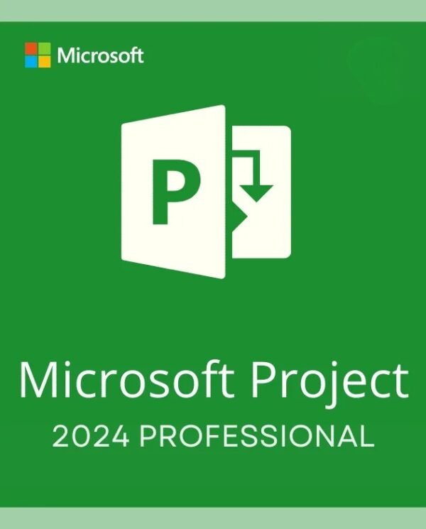 Project Professional 2024 – (PC)